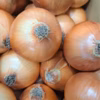 【野菜ソムリエサミット金賞】淡路島玉ねぎ20kg
