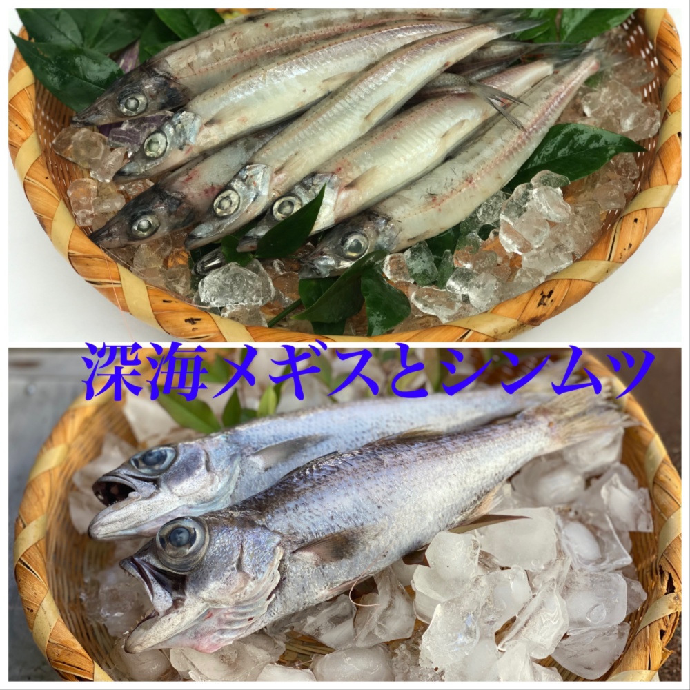 父の日ギフト バラエティ広がる食材 深海メギスとシンムツ 農家漁師から産地直送の通販 ポケットマルシェ