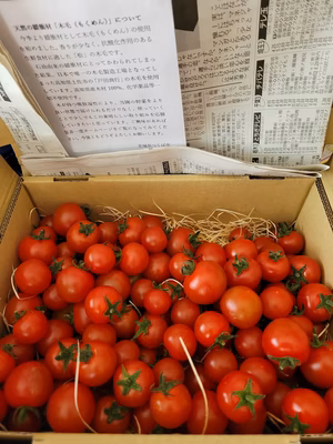 みんなの投稿の画像