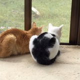 にゃんぱらりん