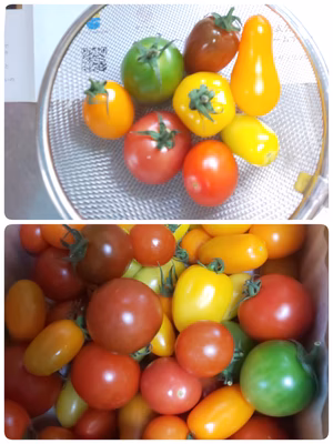 みんなの投稿の画像