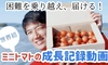 【熊本八代産ミニトマト】美味しいは当たり前！新しい食体験を届けます