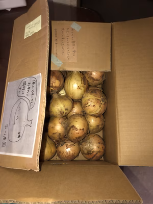 みんなの投稿の画像