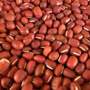 奥出雲産自然栽培丹波大納言小豆(130g)