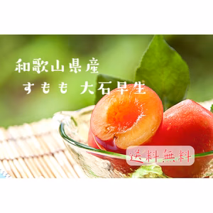 ◎送料無料◎ 甘ずっぱい夏の味 和歌山県産 すもも 大石早生 訳あり ご家庭用