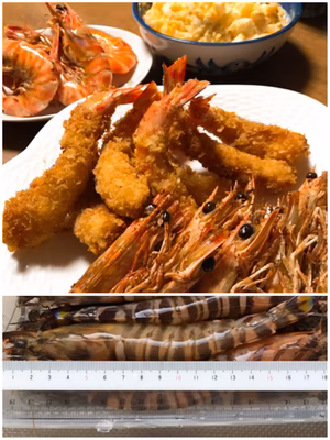 みんなの投稿の画像