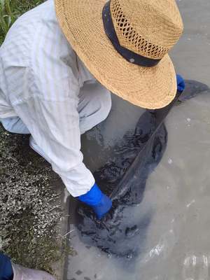 みんなの投稿の画像