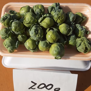 yossy様専用出品　「芽キャベツ400ｇ」