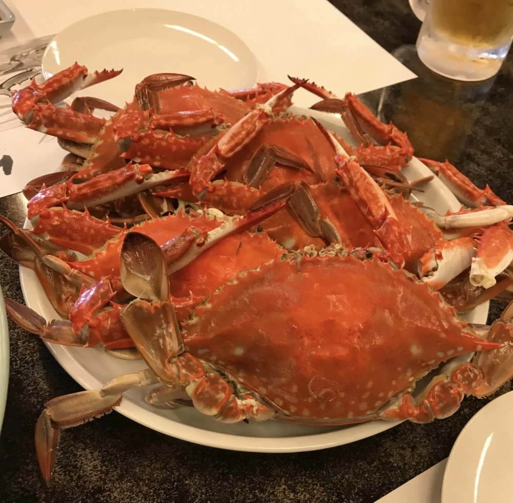 漁師直送！冬眠前　メス竹崎カニ　大2〜中3匹