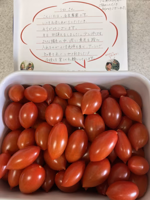 みんなの投稿の画像