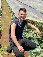 美意識の高い女性に人気 通年栽培ケール 江田農園のカリーノケール 農家漁師から産地直送の通販 ポケットマルシェ