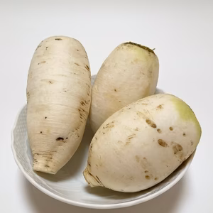おろしそばに最適!越前福井産辛味大根3個