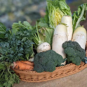 旬のお野菜セット（6品）☆栽培期間中農薬化学肥料不使用栽培☆