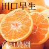 濃厚なコクの完熟みかん小玉10kg