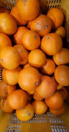 毎年人気　完熟熟成あま～い小粒みかん　マドンナつき❗