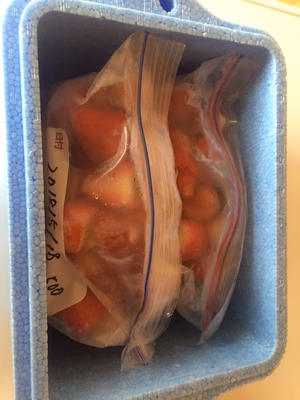 みんなの投稿の画像