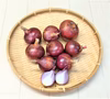 農薬不使用（無農薬）栽培　レッドオニオン