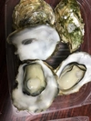 レンジde蒸し牡蠣　おかわりパック（1パック+生食用殻付5個）