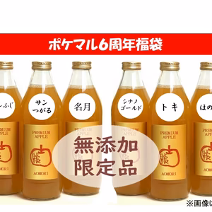 【6周年福袋】飲み比べ6種類!!限定りんご生搾り 1ℓ×6本 青森県産