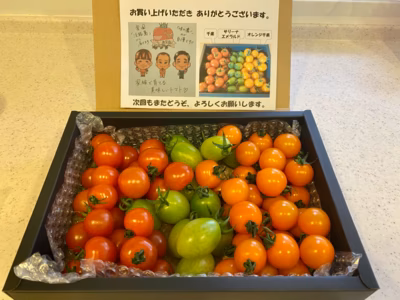 みんなの投稿の画像