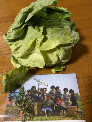 みんなの投稿の画像