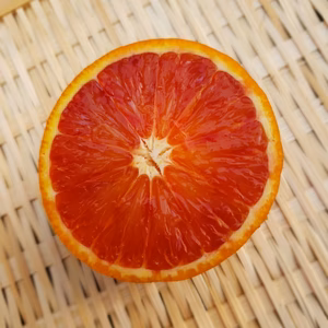 特選品　紅ブラッドオレンジタロッコ5㌔　