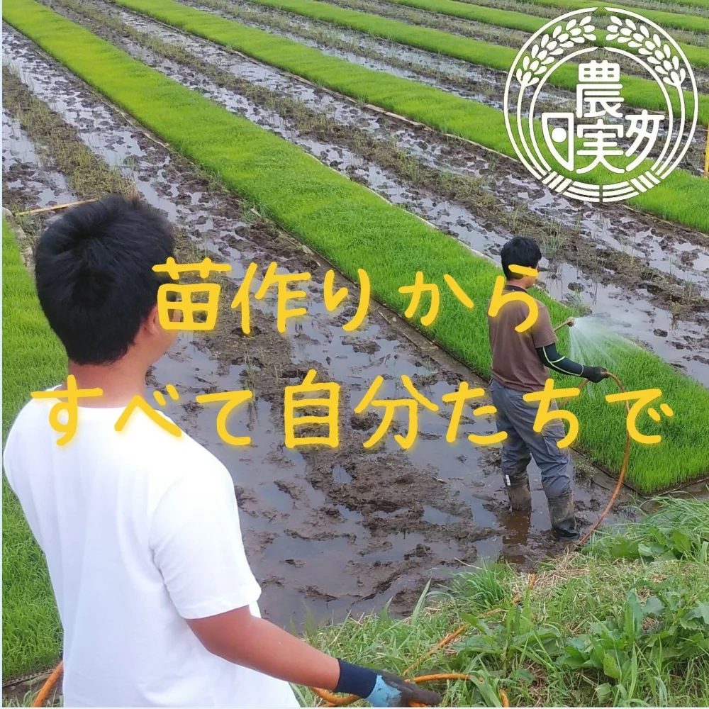 農業学校の学生と作った【ミルキークイーン】無洗米/白米/7分/2分搗き/玄米