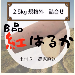 訳あり　紅はるか　詰め合わせ　約2.5kg
