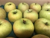 【数量限定】青森県産りんご「黄金ふじ」　家庭用 きずあり 5kg 【希少品種】