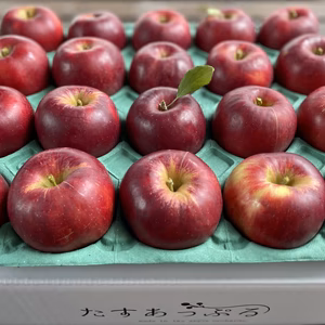 ギュギュッと味が濃い！葉とらず　紅玉