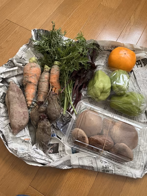 みんなの投稿の画像