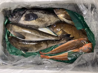 みんなの投稿の画像