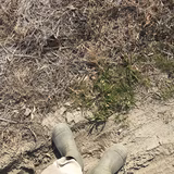 佐藤栄志 | sol farm