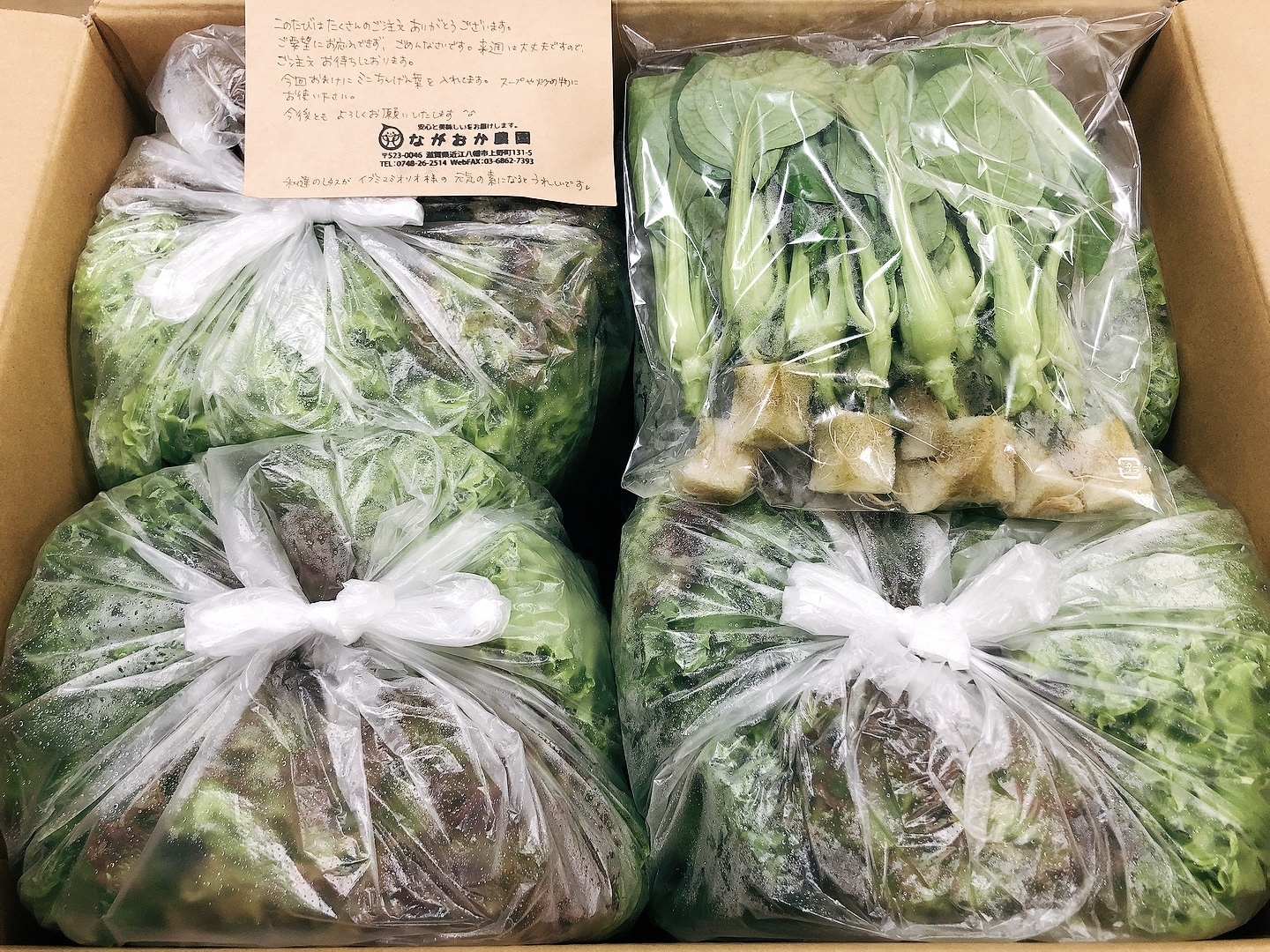 プレゼントを選ぼう 静岡県産 サラダ菜 1袋 80g 10袋入り 1箱 Qdtek Vn