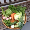 【クール便・80サイズ】発送直前に収穫！化学肥料農薬不使用　野菜セット9～10品