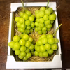 シャインマスカット2kg（岡山県産・種なし）