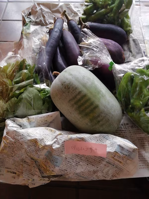 みんなの投稿の画像