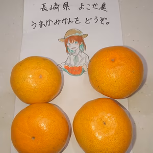 長崎産 山本早生みかん 除草剤ワックス不使用