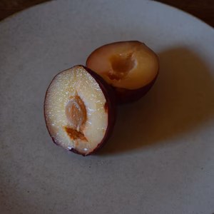 【2026先行】【すもも・太陽】貴陽の生みの親！酸味と甘味の絶妙なバランス