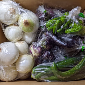 ナス、玉ねぎ、キュウリ、シシトウ