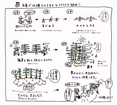 みんなの投稿の画像