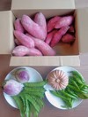 さつま芋メインの季節の野菜セット