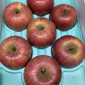 超大玉蜜入チェック済3K6-9葉取らず減農薬栽培樹上完熟蜜入りサンふじ　ふじ