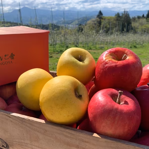 【欲ばり！旬りんご2～3種詰合せセット】パリパリ・ジューシー家庭用