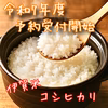 【予約販売】令和7年度産　新米　伊賀米コシヒカリ　精米したてをお届け