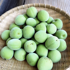 梅仕事にどうぞ！和歌山県産青梅　2kg/5kg/10kg