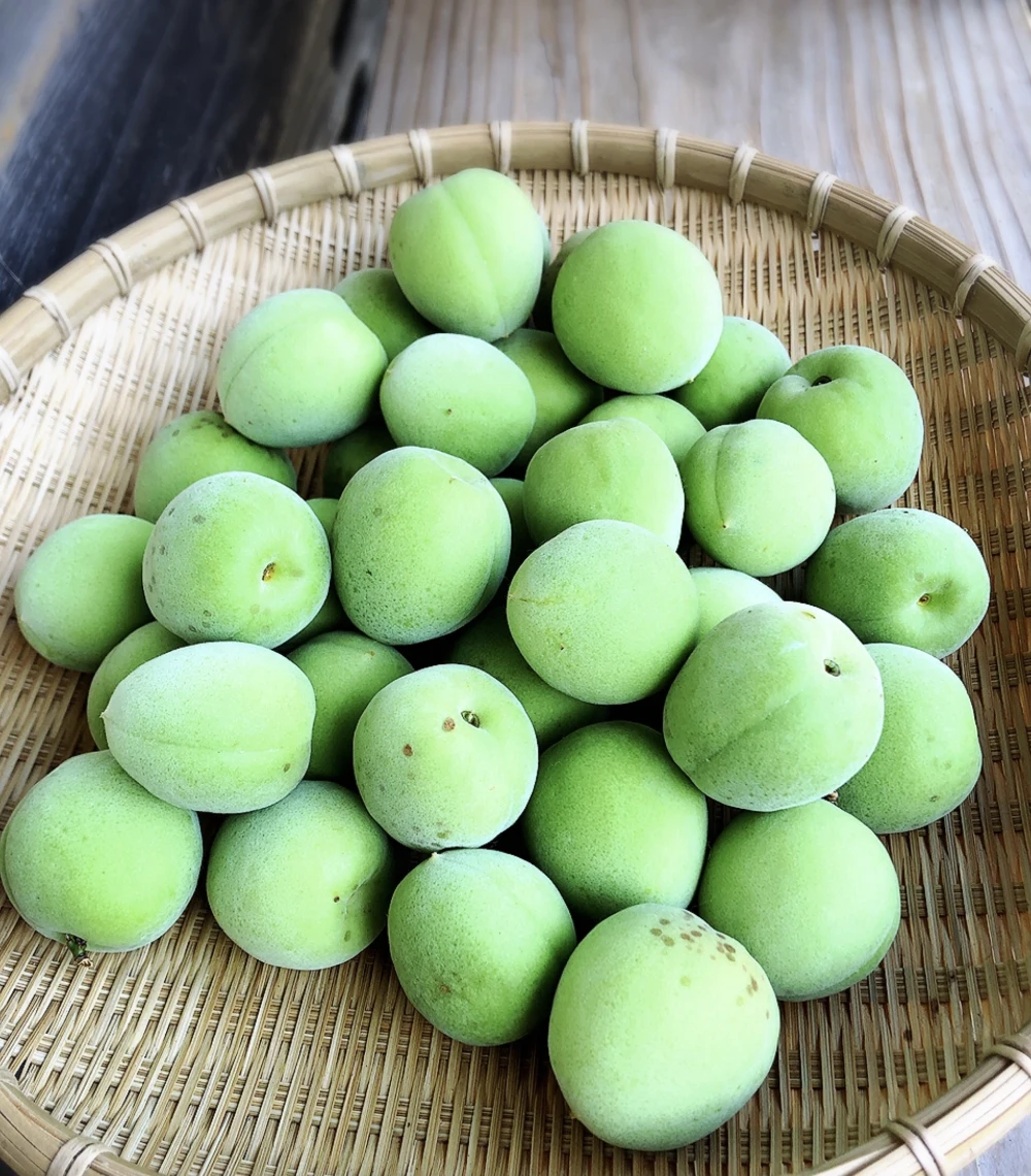 華麗 ④ 和歌山県 紀州産 特別栽培 中熟梅~完熟南高梅 生産者直送 5kg