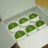カップアイス《抹茶》12個セット｜ペアツリーファーム