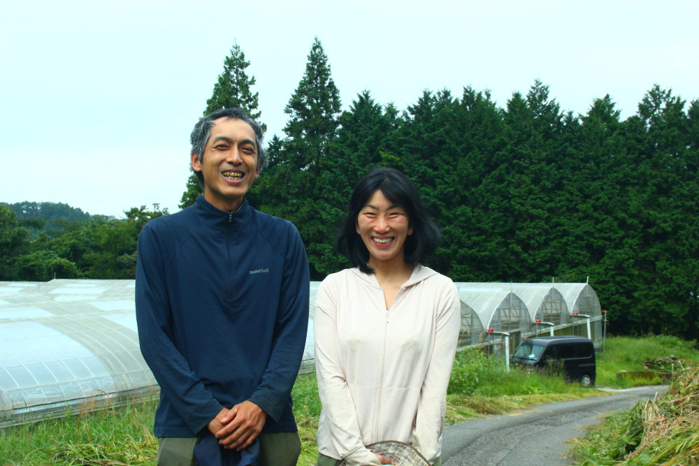 1年に1回だけ発送 高知の限界集落で究極の生姜を育てる夫婦のお話 農家漁師から産地直送の通販 ポケットマルシェ