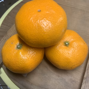 小田原曽我山の大津みかん